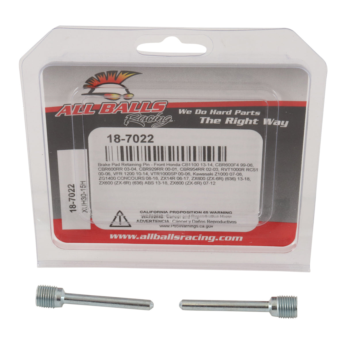 All Balls Racing Brake Pin Kit (18-7022)