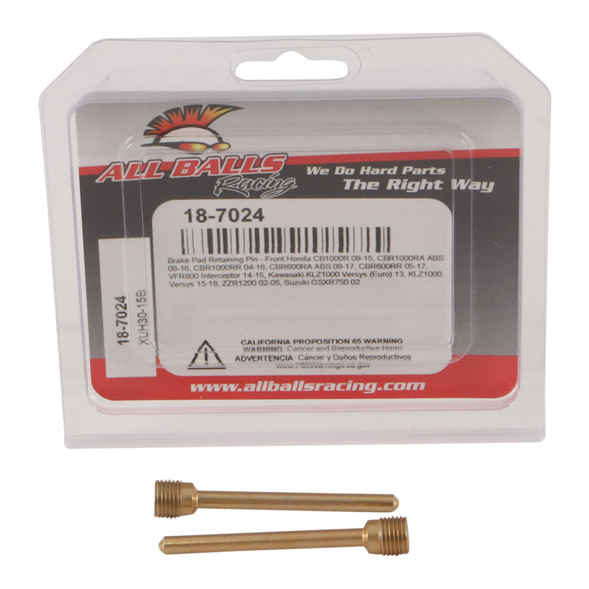 All Balls Racing Brake Pin Kit (18-7024)
