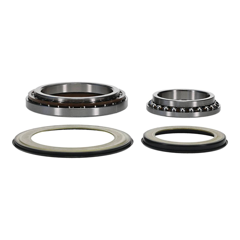 Steering Head Bearing & Seal Kit 22-1079