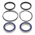 All Balls Racing Wheel Bearing Kit (25-1320)