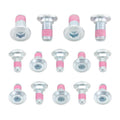 Bolt Disc / Rotor Bolts RM125/250