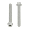 Bolt Euro Torx 6x25mm Flange Bolt (Packet of 10) Refill