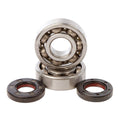 Main Bearing and Seal Kit K045