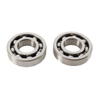 Main Bearing and Seal Kit
