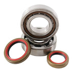 Main Bearing And Seal Kit