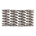 Premier Clutch Springs - Heavy Duty