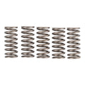Premier Clutch Springs - Heavy Duty