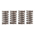 Premier Clutch Springs - Heavy Duty