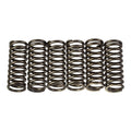 Premier Clutch Springs - Heavy Duty