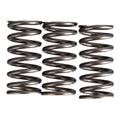 Premier Clutch Springs - Heavy Duty