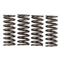 Premier Clutch Springs - Heavy Duty