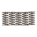 Premier Clutch Springs - Heavy Duty