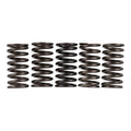 Premier Clutch Springs - Heavy Duty
