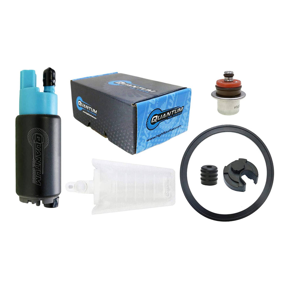 Quantum In-tank EFI Fuel Pump with Regulator, Tank Seal