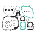 Complete Gasket Set with Oil Seals 8110043