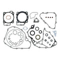 Complete Gasket Set with Oil Seals 8110068