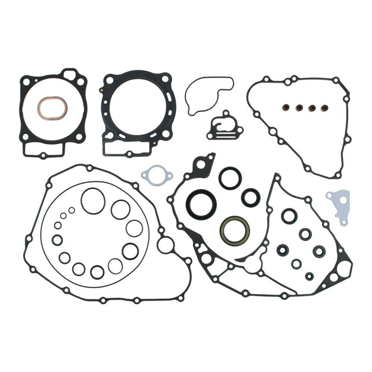Complete Gasket Set with Oil Seals 8110068