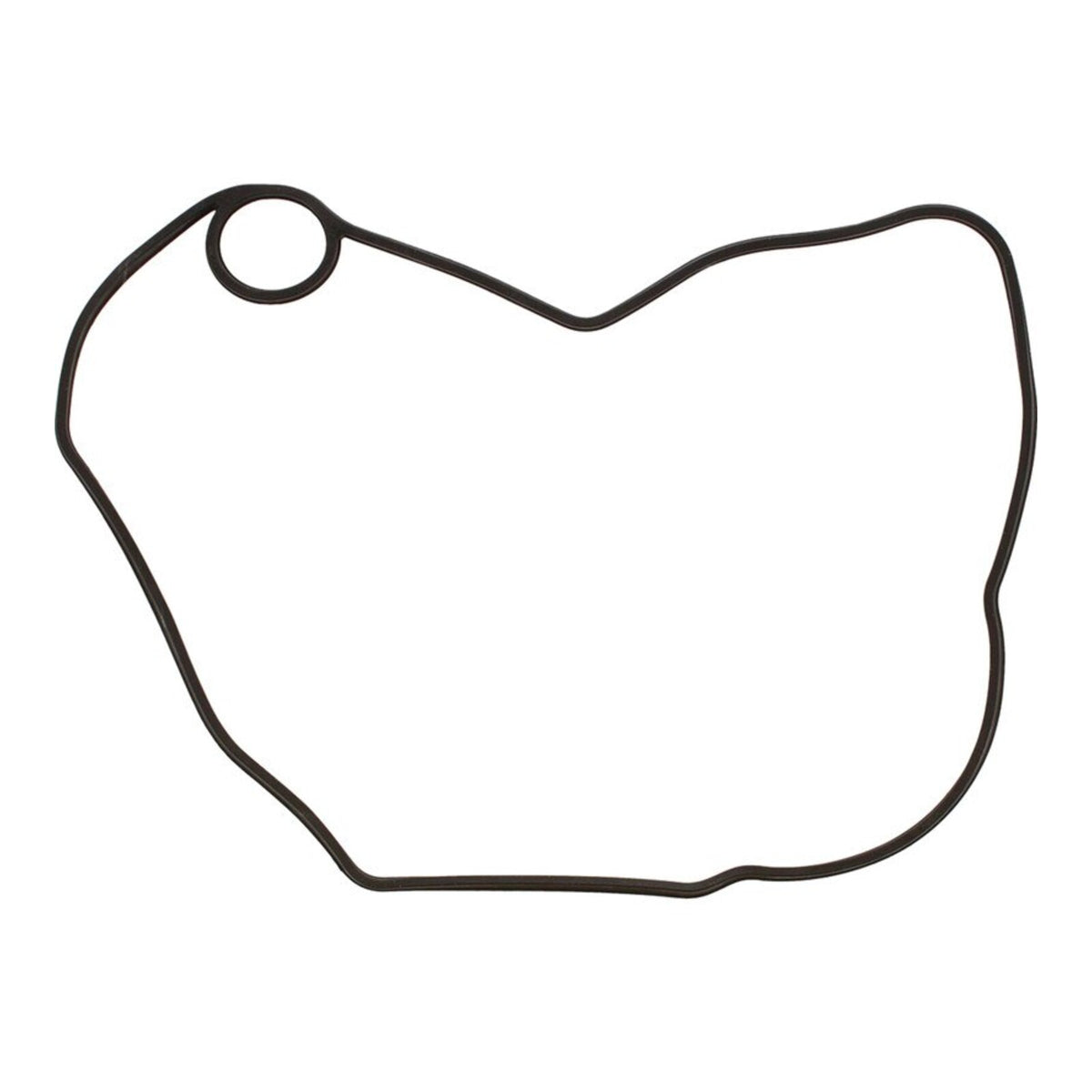 Ignition Cover Gasket Kit 816330