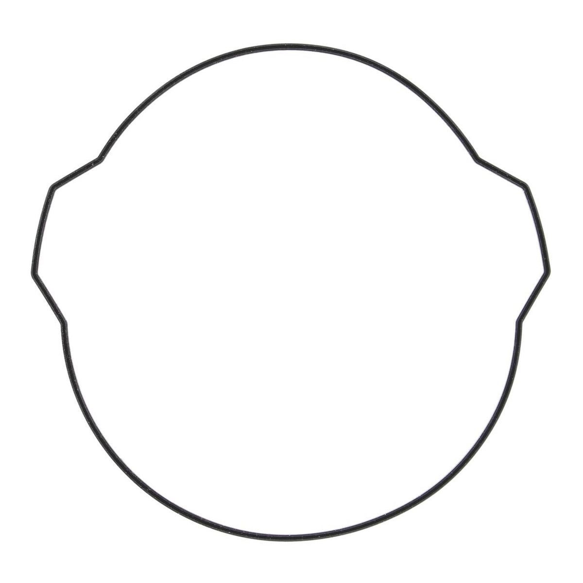 Outer Clutch Gasket Kit 817928