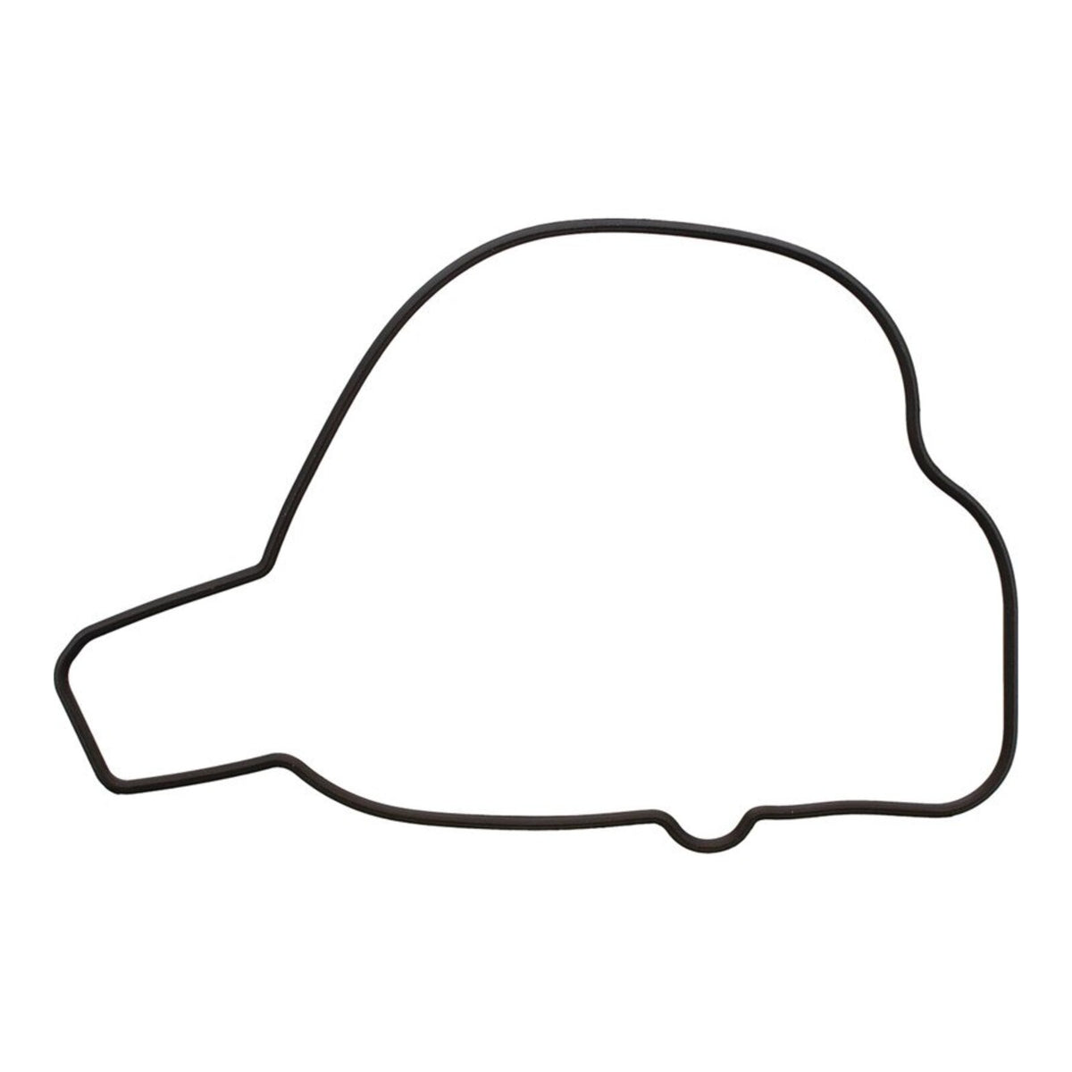 Ignition Cover Gasket Kit 819210