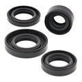 Oil Seal Kit 822162