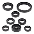 Oil Seal Kit 822167