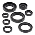 Oil Seal Kit 822173