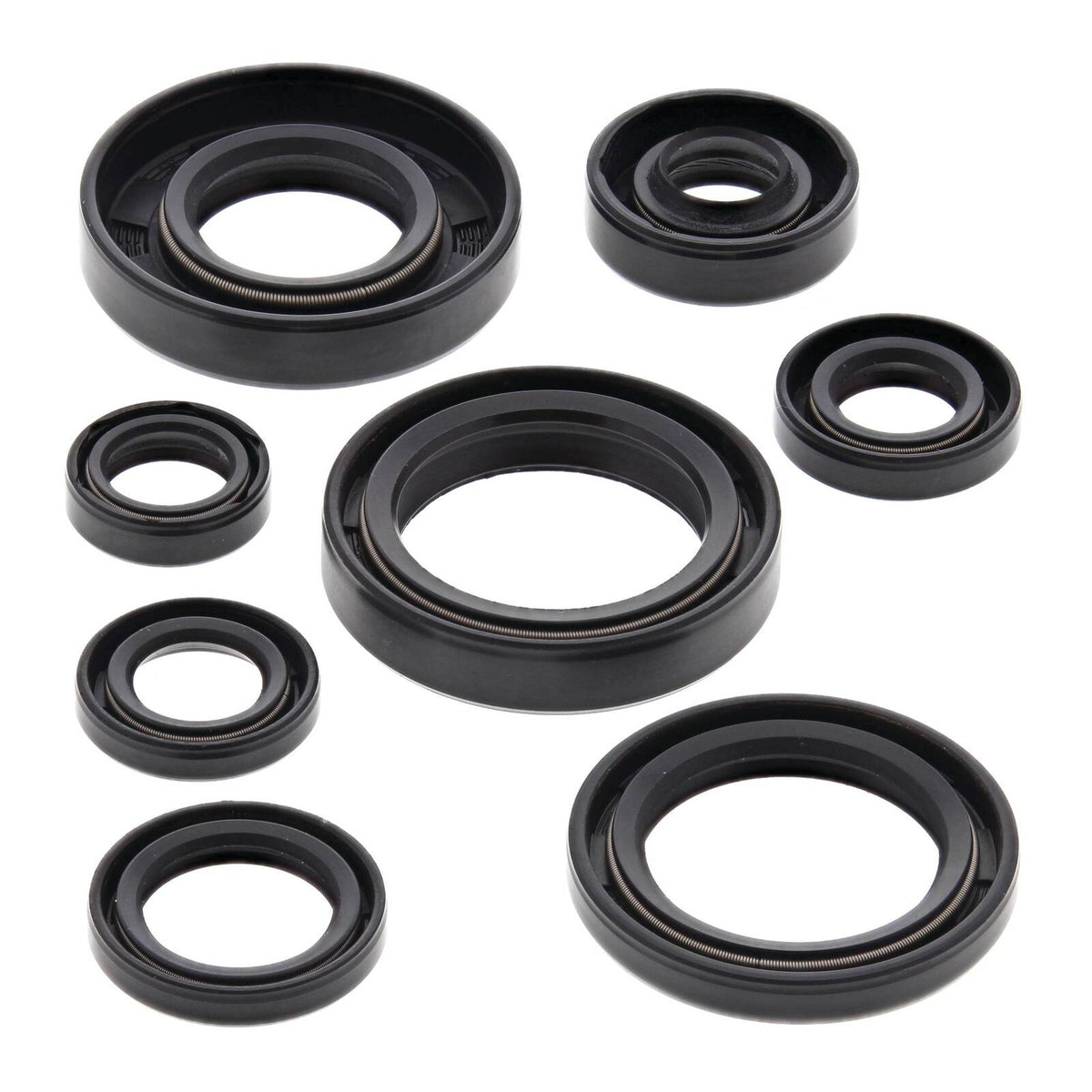 Oil Seal Kit 822173
