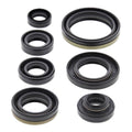 Oil Seal Kit 822176