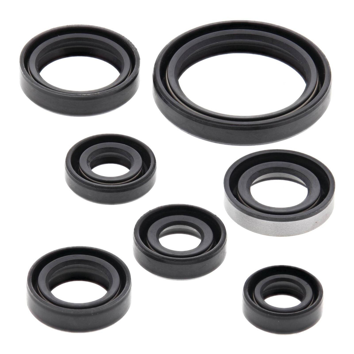 Oil Seal Kit 822193