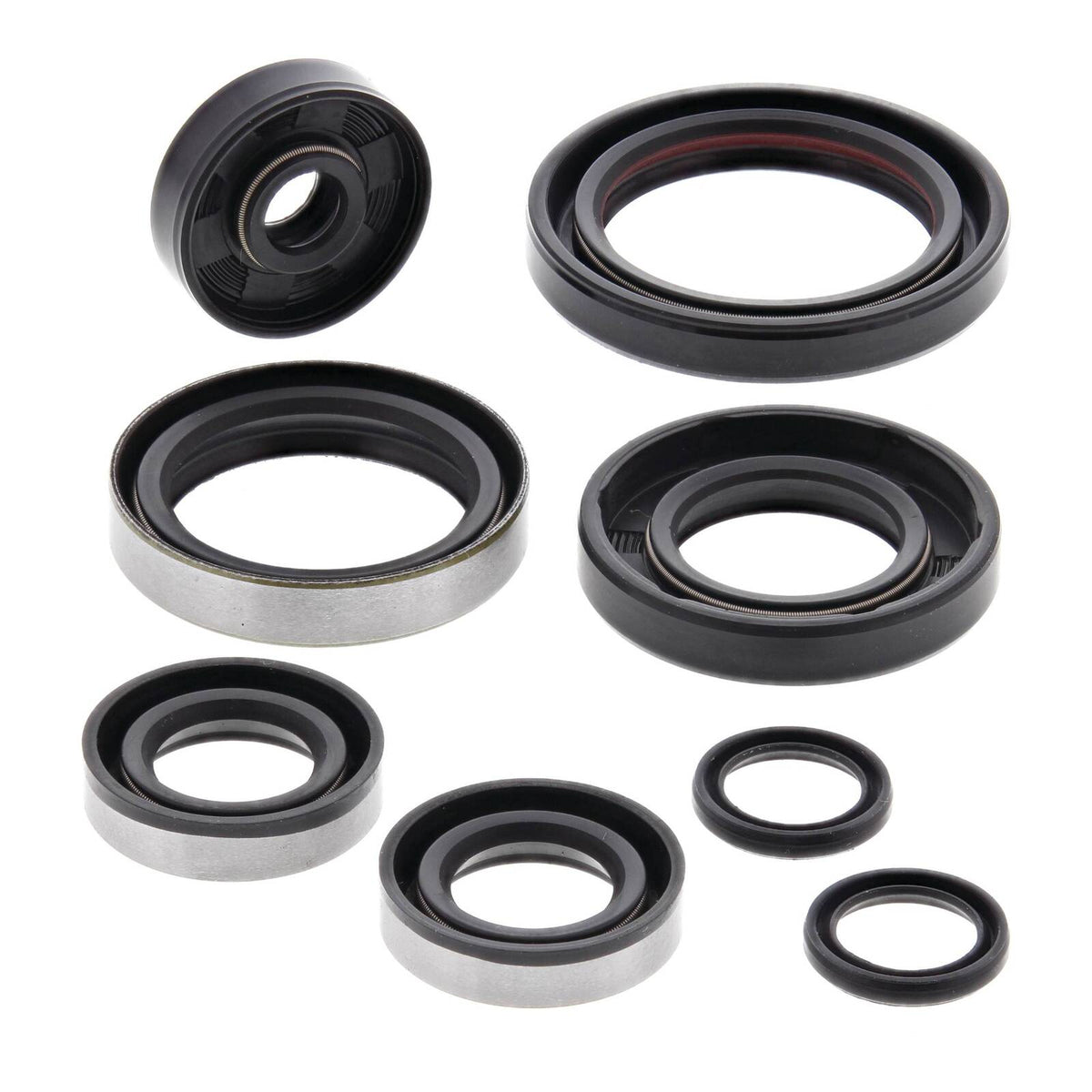Oil Seal Kit 822264
