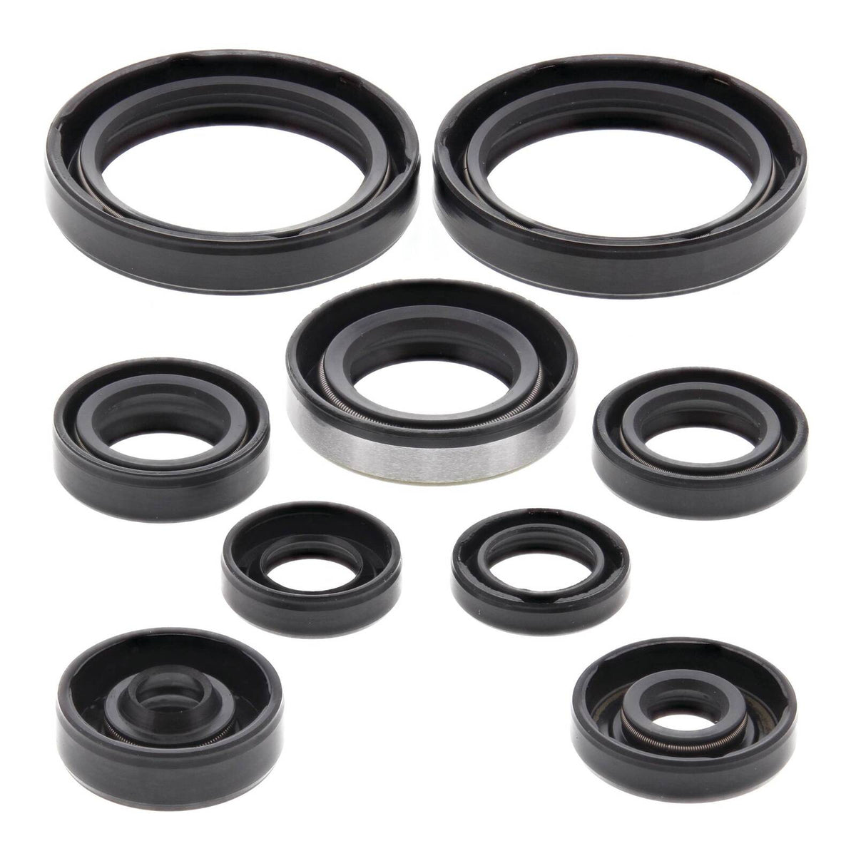 Oil Seal Kit 822316