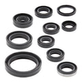 Oil Seal Kit 822319