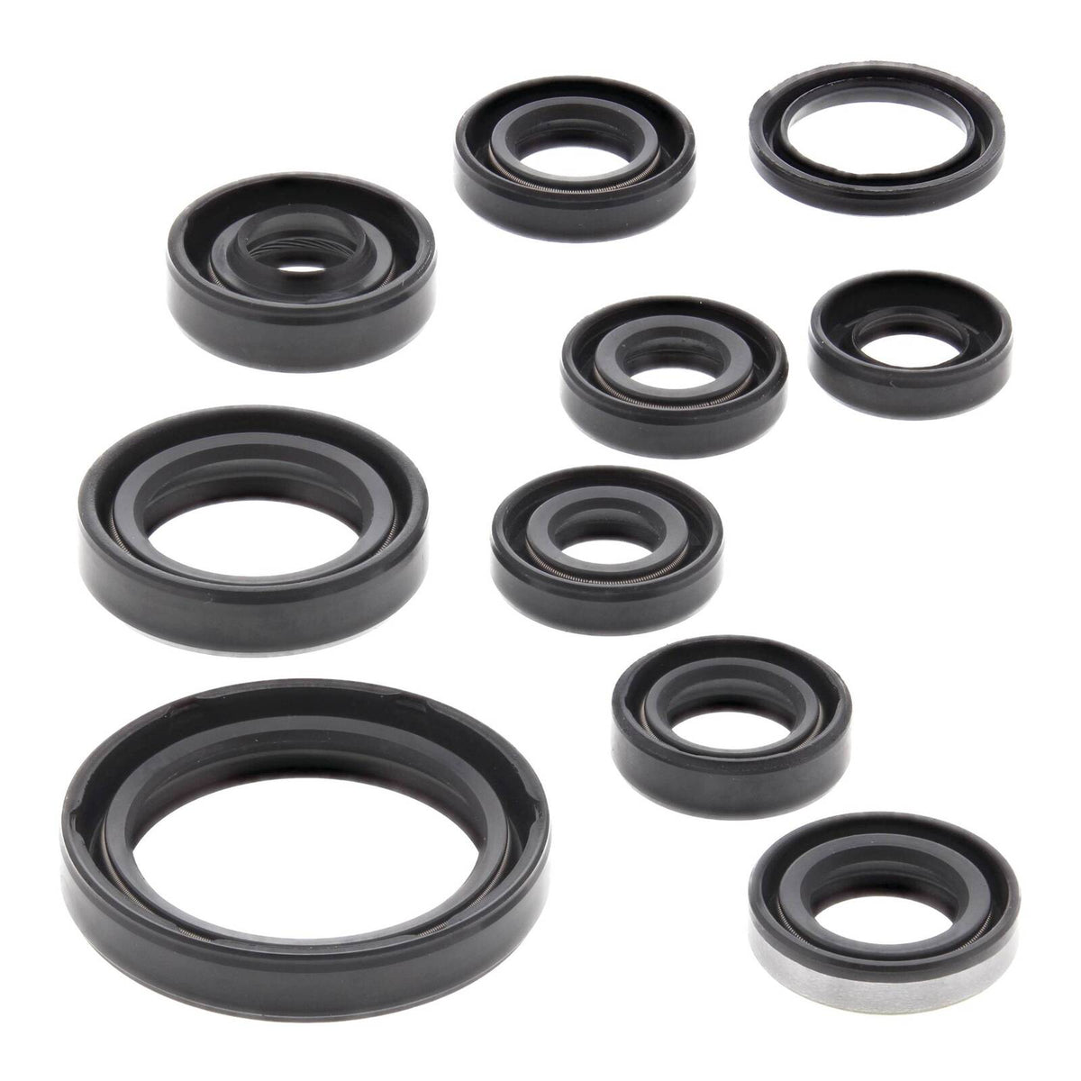 Oil Seal Kit 822319