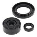 Oil Seal Kit 822339