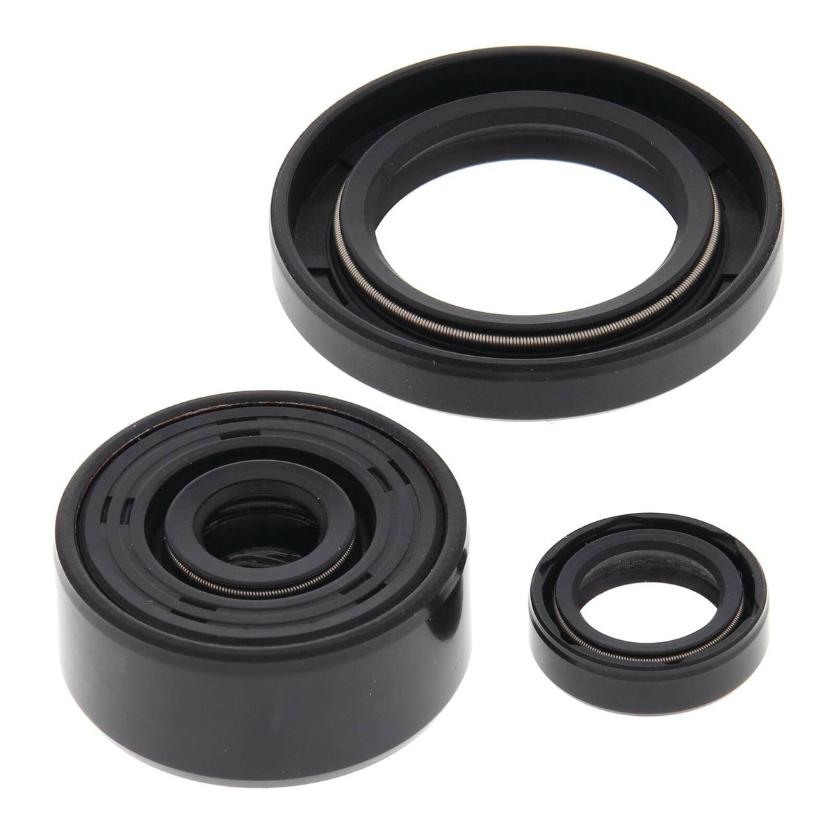 Oil Seal Kit 822339