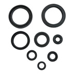 Oil Seal Kit 822378