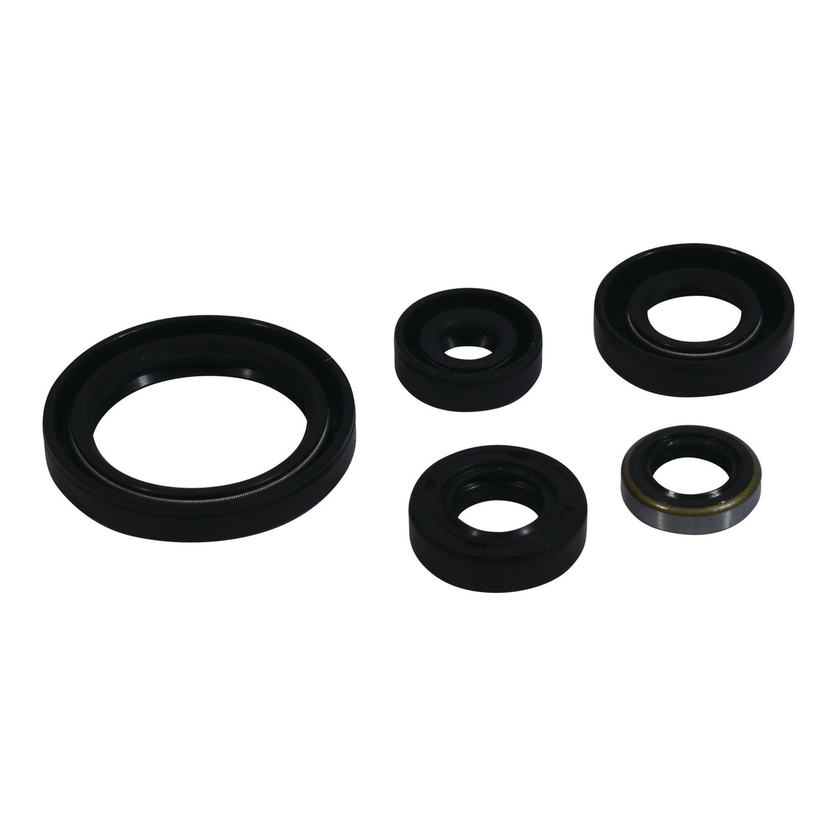 Oil Seal Kit 822380