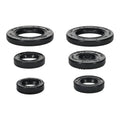 Oil Seal Kit 822391