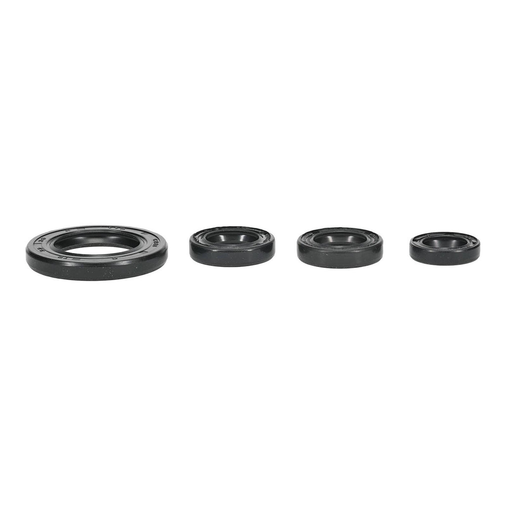 Oil Seal Kit 822395