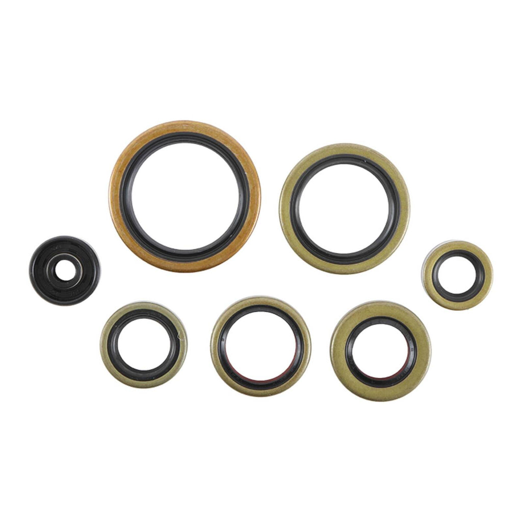 Oil Seal Kit 822976