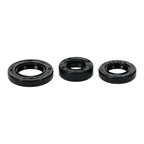Oil Seal Kit 822999