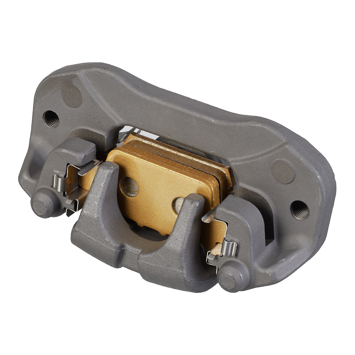 WMP Brake Caliper