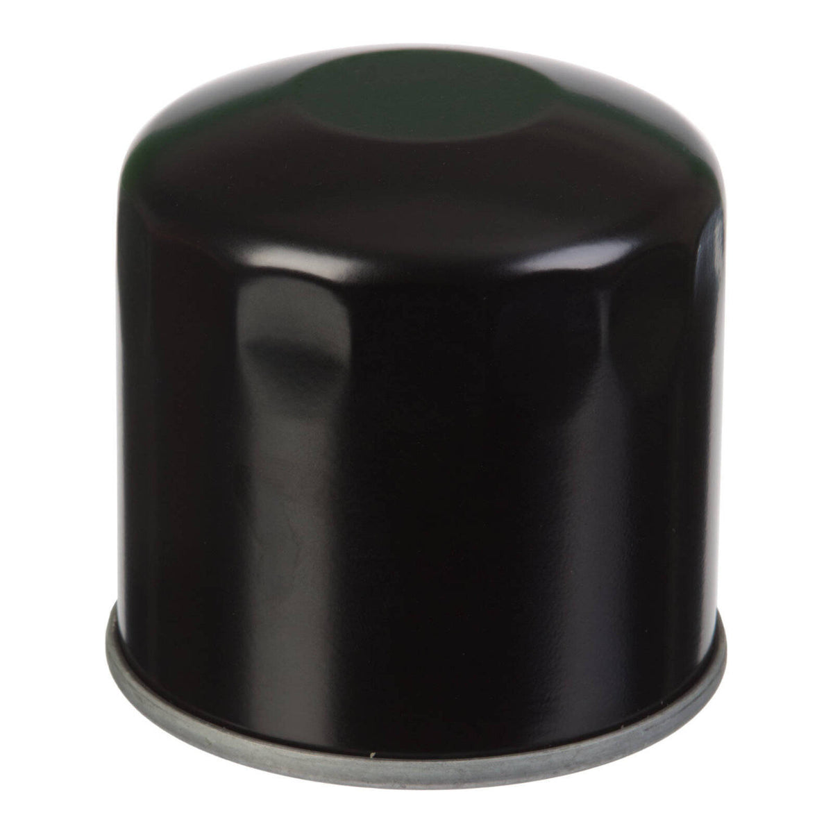 WMP Oil Filter (HF134)