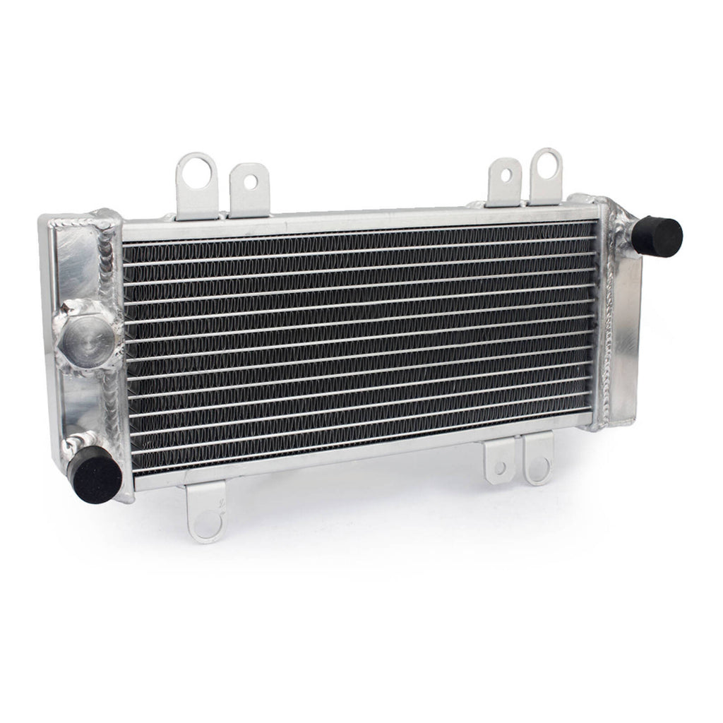WMP Radiator Kawasaki Ninja 300 '13-'17
