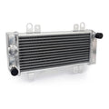 WMP Radiator Kawasaki Ninja 300 '13-'17