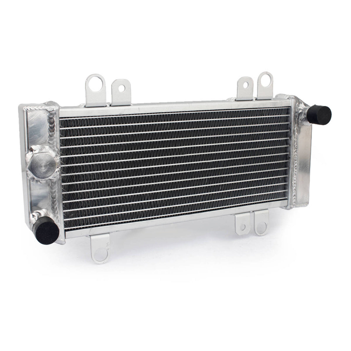 WMP Radiator Kawasaki Ninja 300 '13-'17