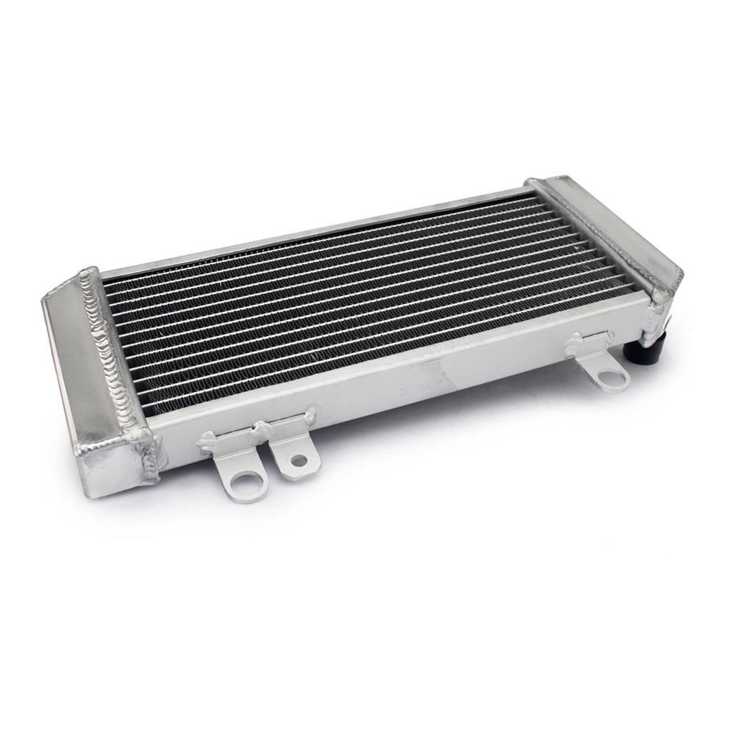WMP Radiator Kawasaki Ninja 300 '13-'17