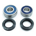 WMP Wheel Bearing Kit - Rear