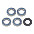 WMP Wheel Bearing Kit - Rear